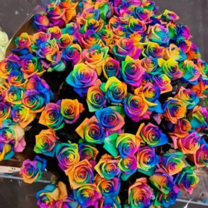 Vendela - Regenboog rozen - 100 stuks