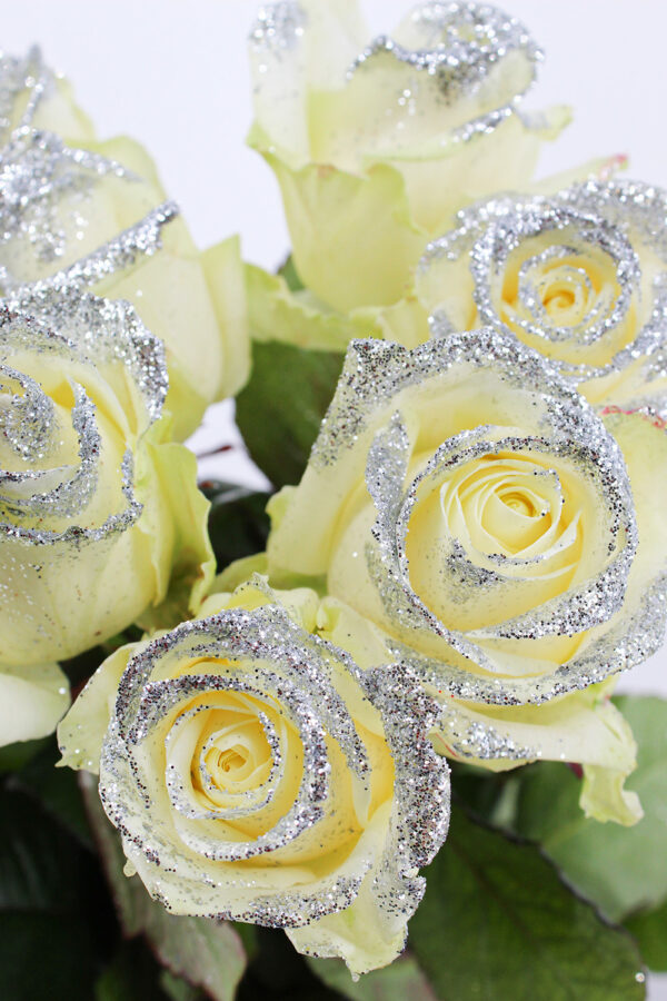 Make-Up Glitter Silver 70cm