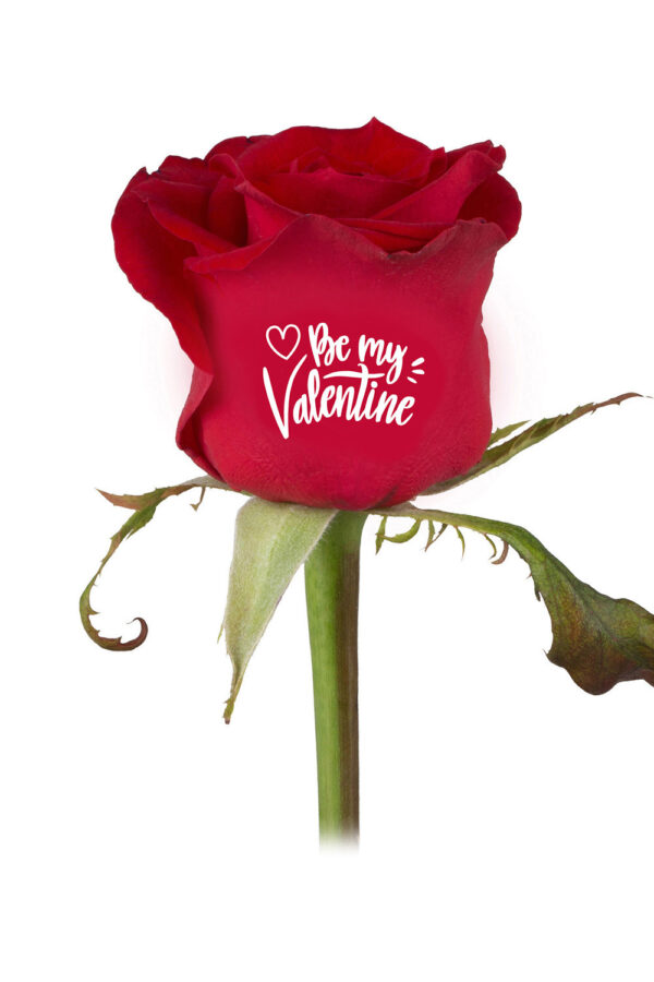 Bedrukte rozen "Be My Valentine" (11.02-14.02)