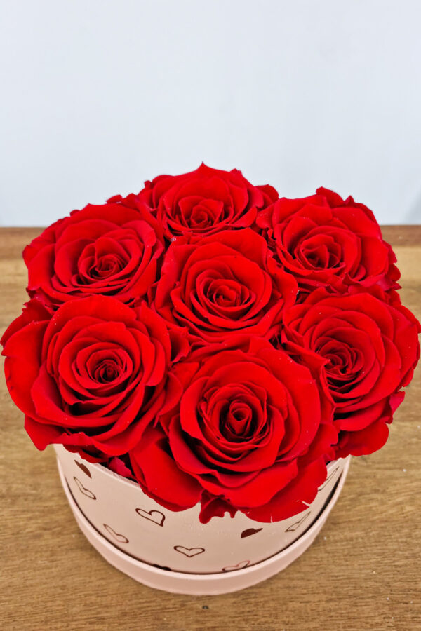 Rozenbox klein - rood