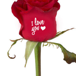 Bedrukte rozen "I love you" (11.02-14.02)