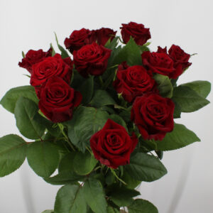 Con Amore - per stuk