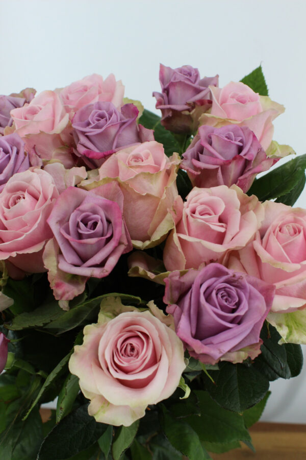 Bos rozen - 20 stuks - Pastel Mix Roze/Lila/Paars