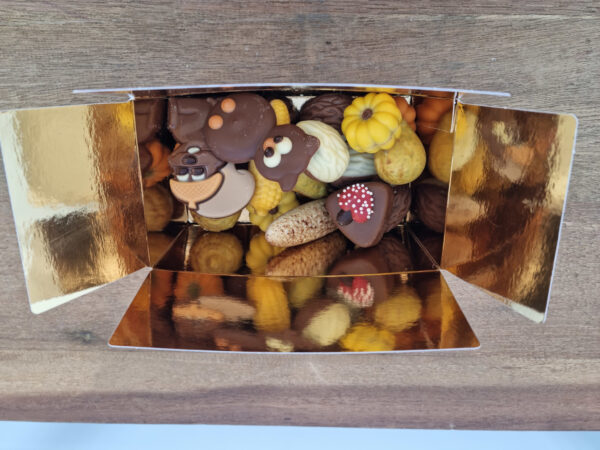 Chocolade herfst mix 300gr.