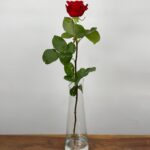 Red Naomi! - Rode rozen - REGULAR