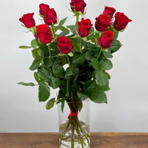 Red Naomi! - Rode rozen - 12 stuks REGULAR
