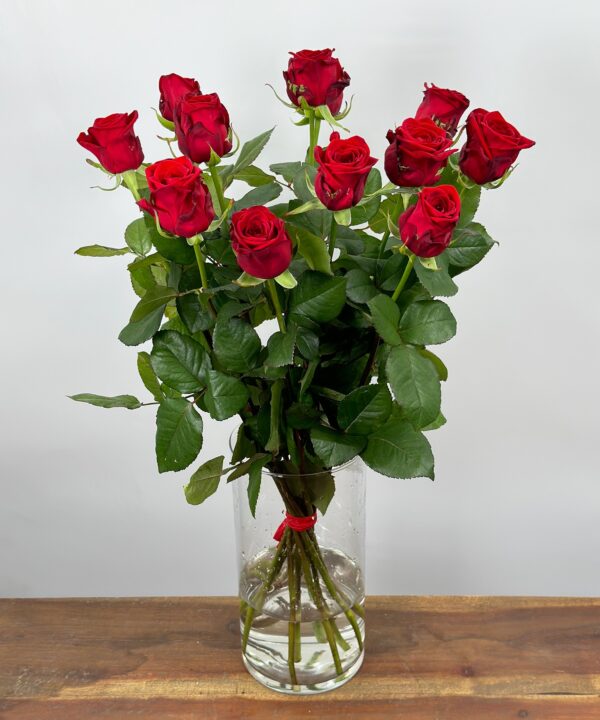 Red Naomi! - Rode rozen - 12 stuks REGULAR