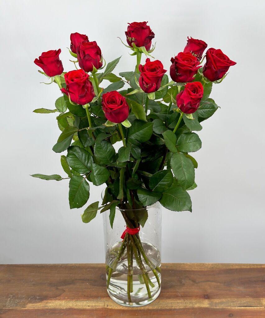 Red Naomi! - Red roses - 12 pieces REGULAR