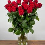 Red Naomi! - Rode rozen - 24 stuks REGULAR