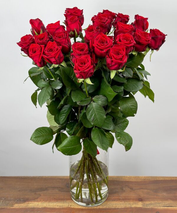 Red Naomi! - Rode rozen - 24 stuks REGULAR