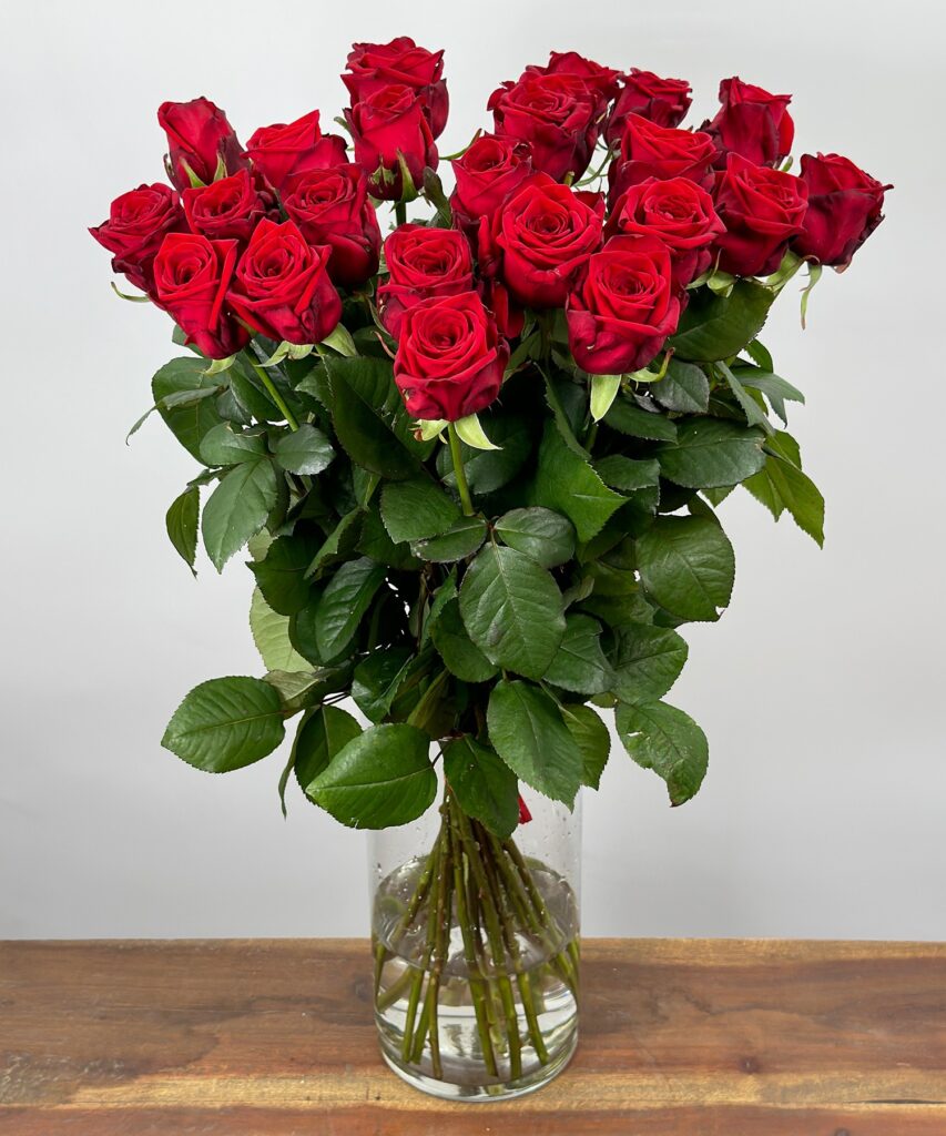 Red Naomi! - Red roses - 24 pieces REGULAR
