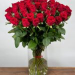 Red Naomi! - Rode rozen - 50 stuks REGULAR