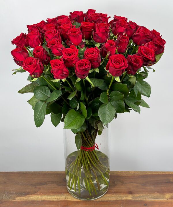 Red Naomi! - Rode rozen - 50 stuks REGULAR