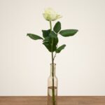 White Naomi - Witte rozen - 1 stuk