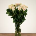 Avalanche+ - Witte rozen - 12 stuks