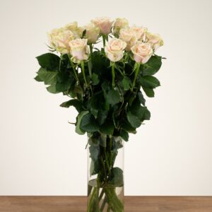 Avalanche+ - Witte rozen - 12 stuks
