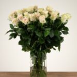 Avalanche+ - Witte rozen - 24 stuks
