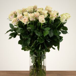 Avalanche+ - Witte rozen - 24 stuks