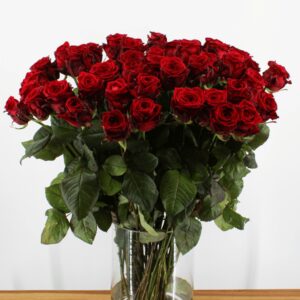 Red Naomi! - Rode rozen - 60 stuks REGULAR