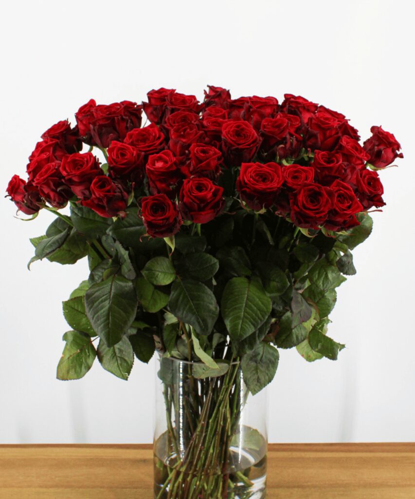 Red Naomi! - Red roses - 60 pieces REGULAR