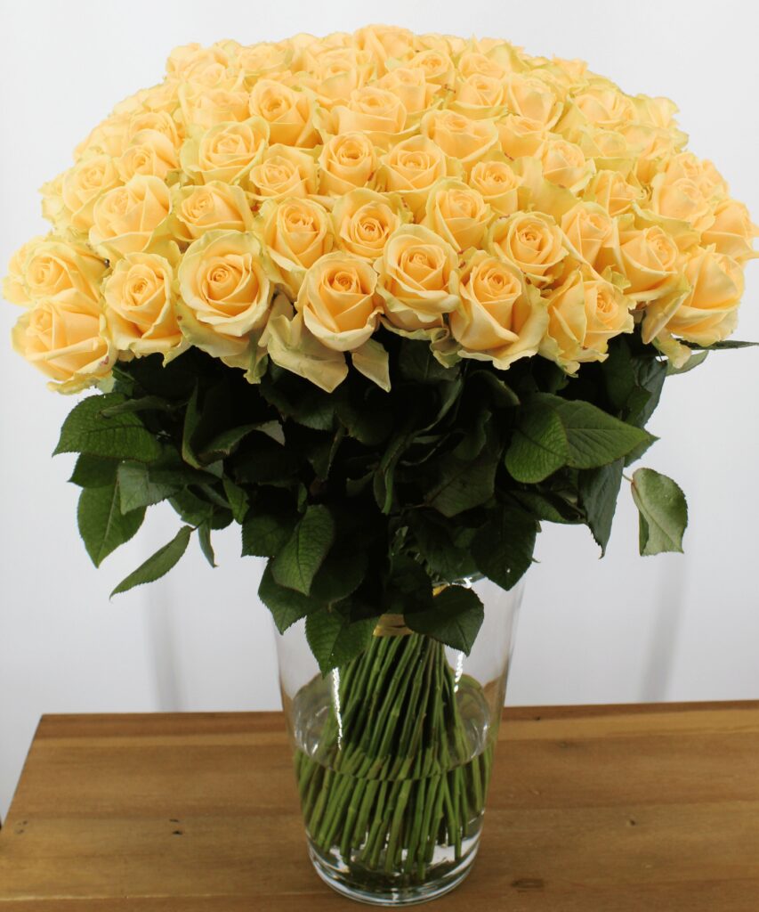 100 Peach Avalanche+