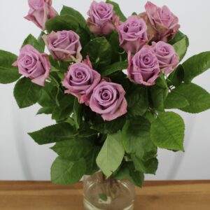 Rose Rozen - Armando