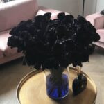 Red Naomi - Zwarte rozen - 24 stuks