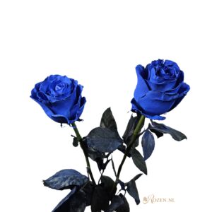 Mondial Blauw
