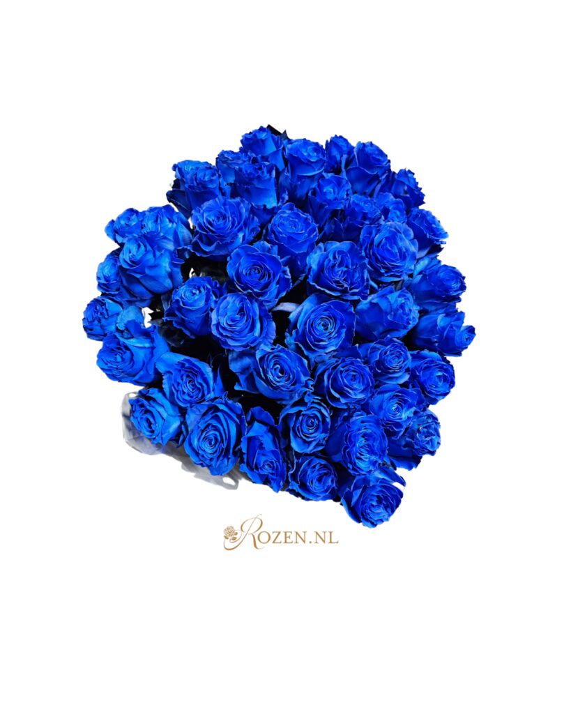 Mondial - Blue roses - 24 pieces