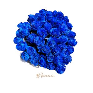 Mondial - Blauwe rozen - 50 stuks