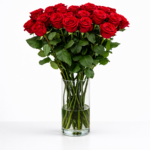 Red Naomi! - Rode rozen - 24 stuks REGULAR