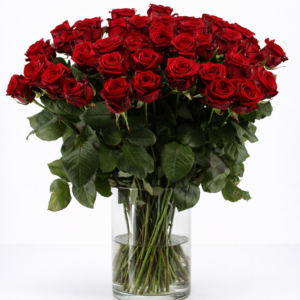 Rote Naomi! - Rote Rosen - 60 Stück REGULAR