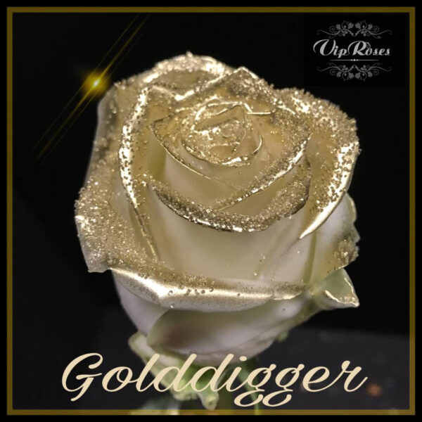 Golddigger R-460