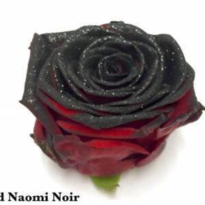 Red Naomi+ glitter black