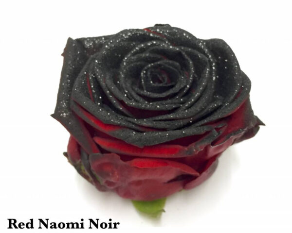 Red Naomi+ glitter black