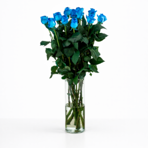 Vendela - Licht blauwe rozen - 12 stuks