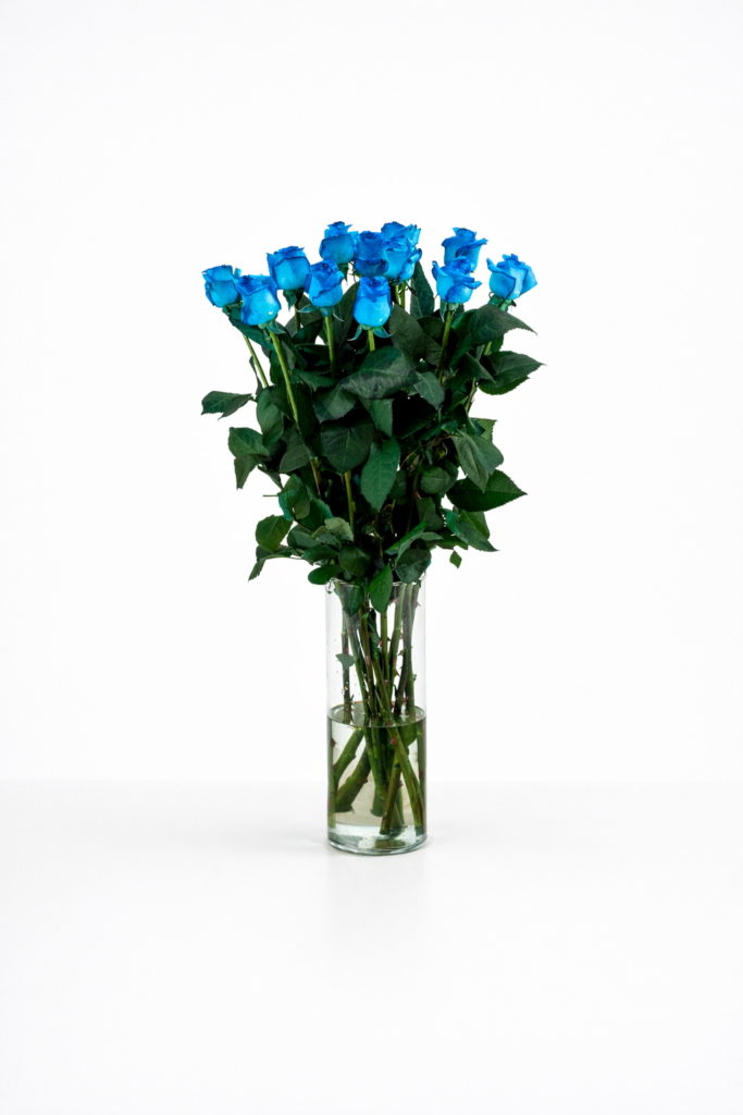 Vendela - Licht blauwe rozen - 12 stuks