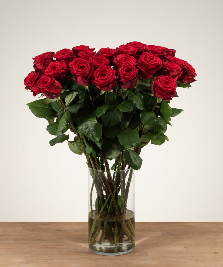 Red Naomi! - Red roses - 25 pieces REGULAR