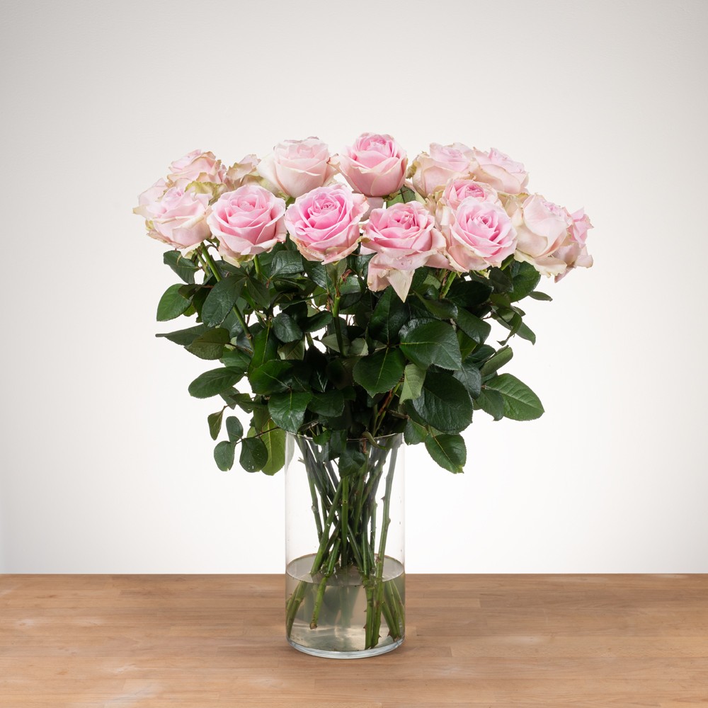 Aanbieding van de week