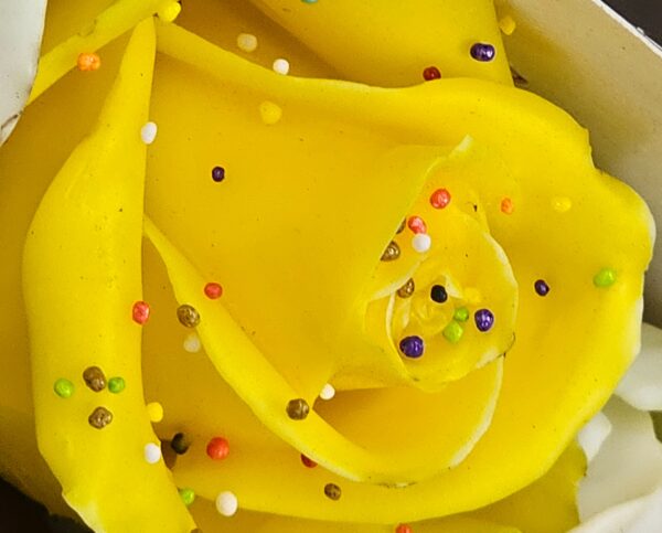 Wax rozen-mix Pasen
