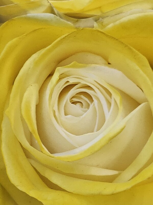 Make-up Easter yellow