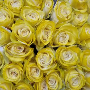 Make-up Easter yellow