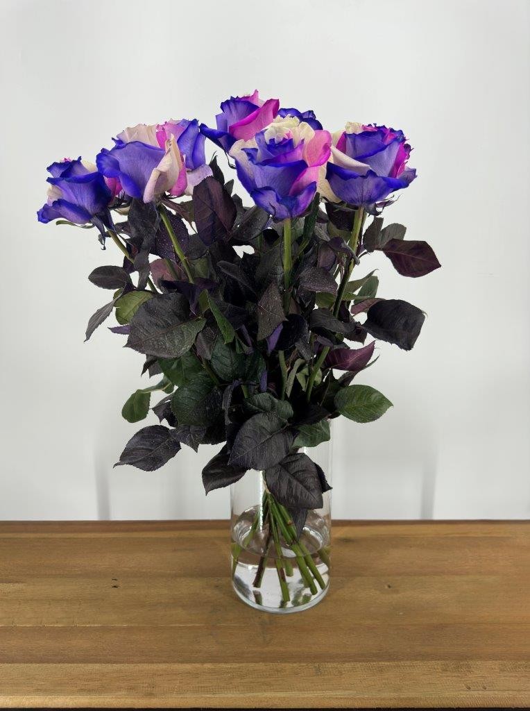 Rainbow Galaxy – 50 stuks