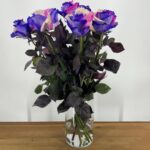 Rainbow Galaxy - 100 stuks