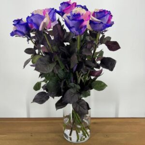 Rainbow Galaxy - 100 stuks