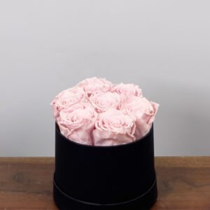 Rozenbox 7 Pink Longlife zwart