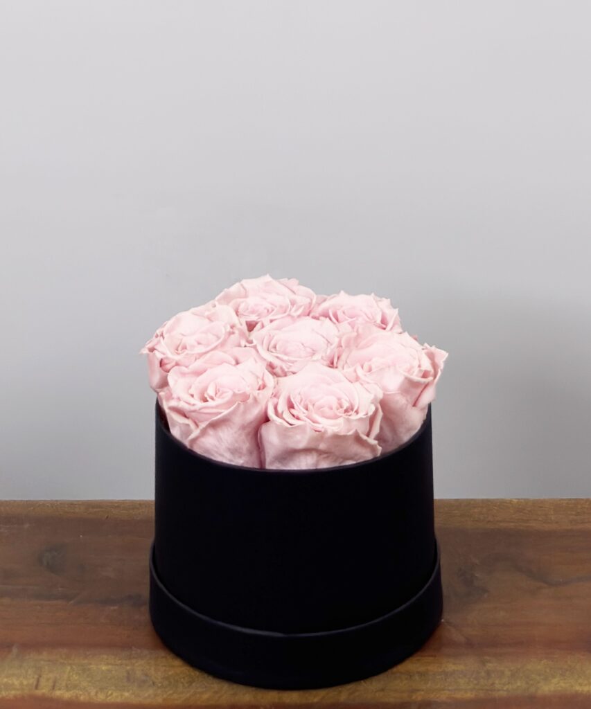 Rozenbox 7 Pink Longlife zwart