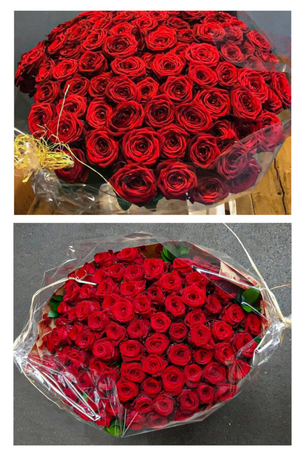 Red Naomi! - Rode rozen - 100 stuks REGULAR