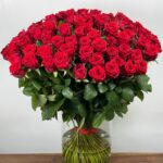 Red Naomi! - Rode rozen - 100 stuks BASIC