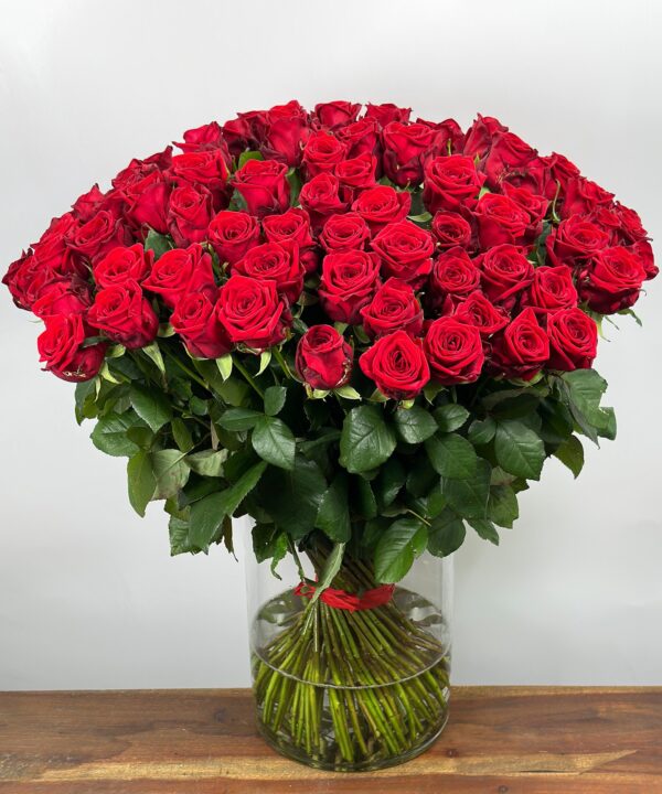 Red Naomi! - Rode rozen - 100 stuks BASIC